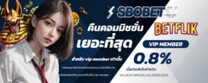 โปรโมชั่น betflix