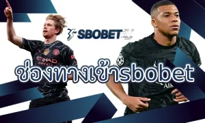 มือใหม่ควรรู้อะไรบ้างก่อนเล่นบาคาร่าออนไลน์กับ ช่องทางเข้าsbobet